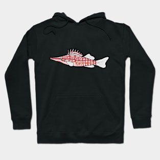 Longnose Hawkfish Hoodie